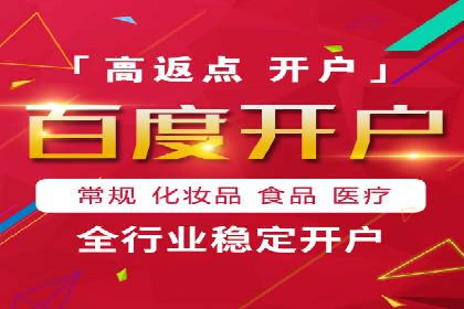 行业领先企业的SEM竞价推广策略揭秘
